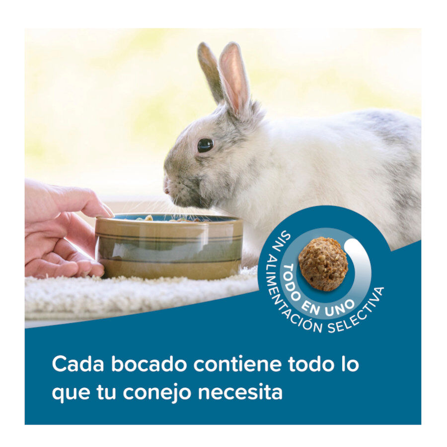 Beaphar Care+ Pienso para conejos, , large Imagen numero 6
