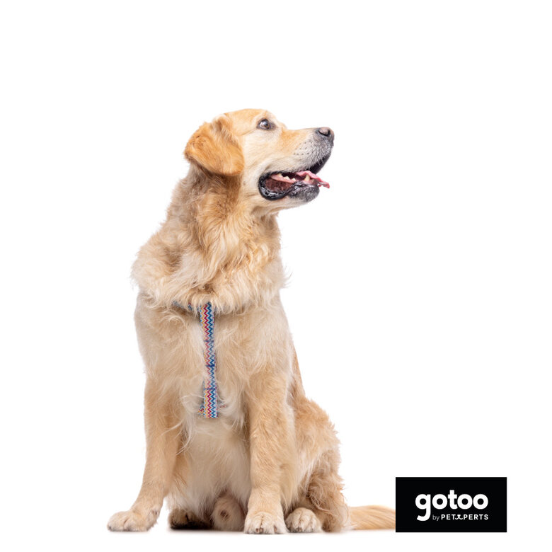 Gotoo Arnés rayas zig- zag para perros,  Imagen numero 3 Gotoo Arnés rayas zig- zag para perros, , large Imagen numero 3