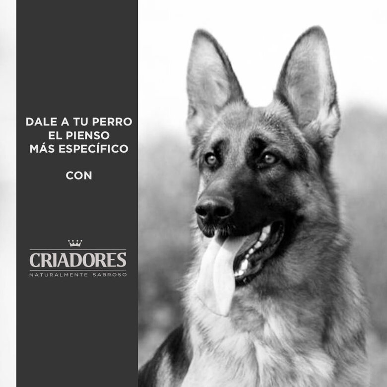 Criadores Adulto Cordero y Arroz pienso para perros de razas mediana y grande, , large image number null