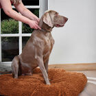 Beaphar CaniComfort Collar Calmante 45 cm para perros, , large image number null