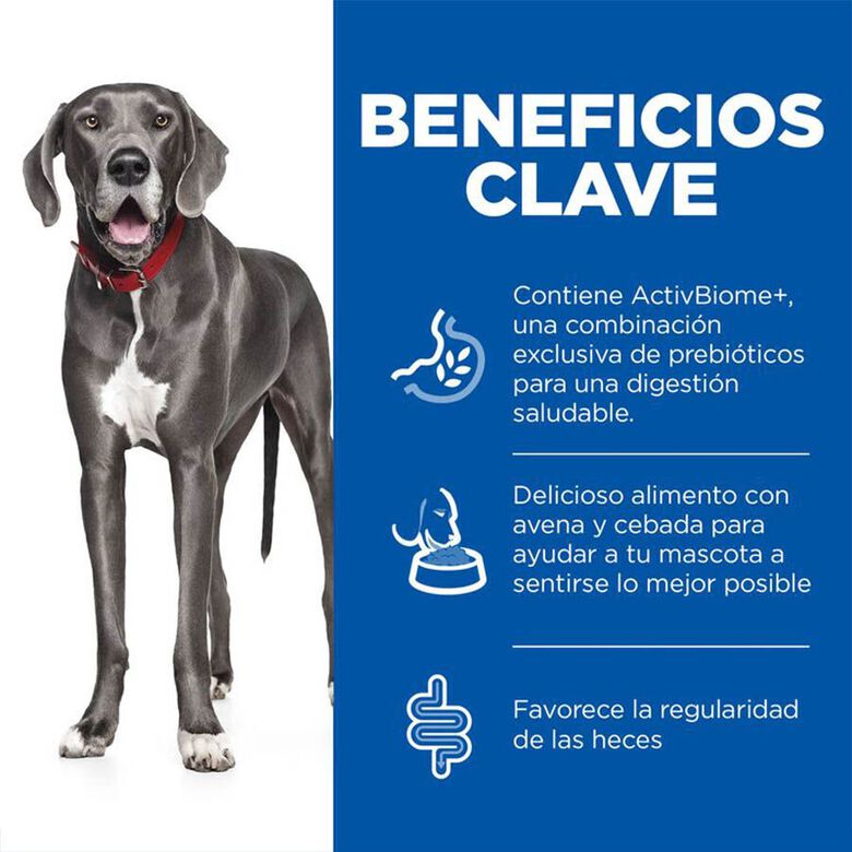 Hill&#039;s Science Plan Perfect Digestion Adult large Pollo pienso para perros thumbnail