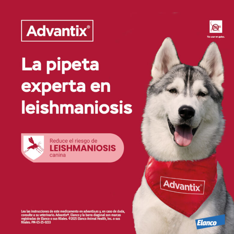 Advantix Pipetas Antiparasitarias para perros thumbnail