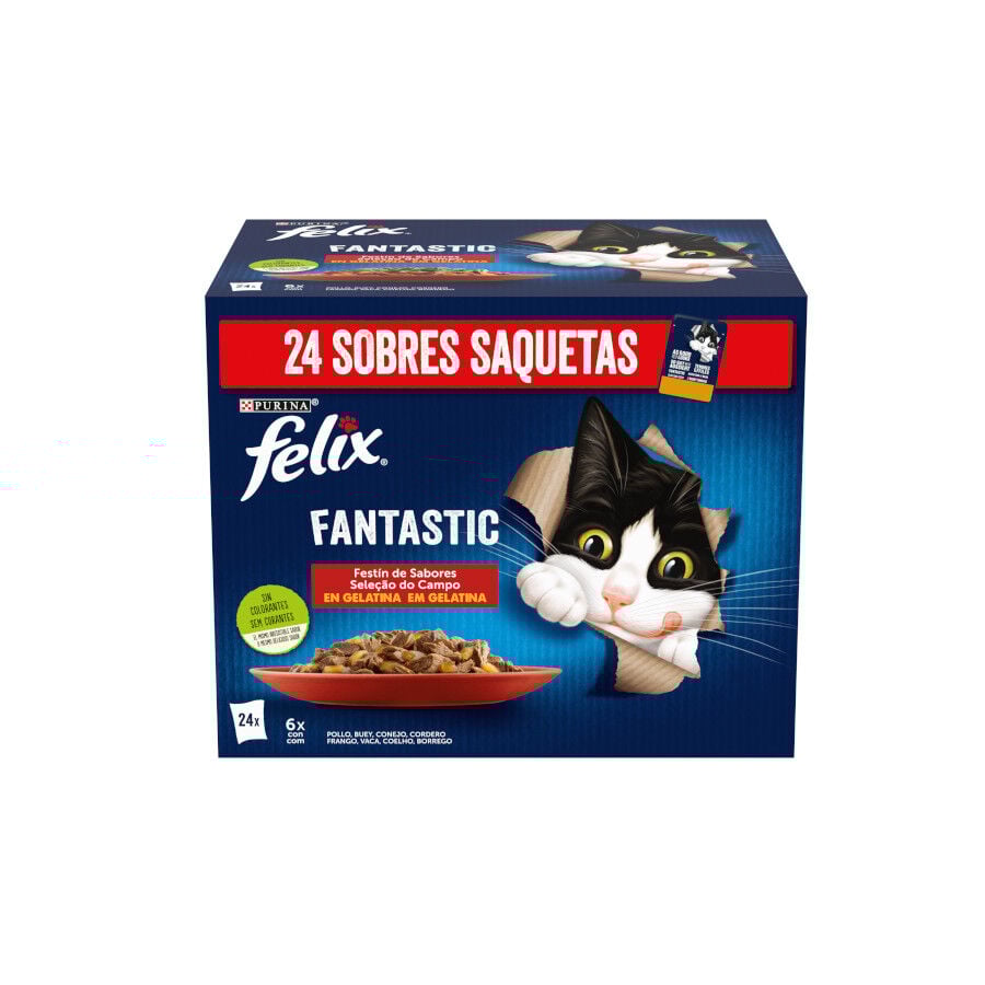 24 sobres x 85 g Felix Fantastic Carne en Gelatina sobre para gatos, , large Imagen numero 1