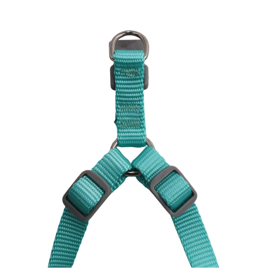 Gotoo Arn&eacute;s ajustable estampado estrellas verde para cachorros, , large Imagen numero 6