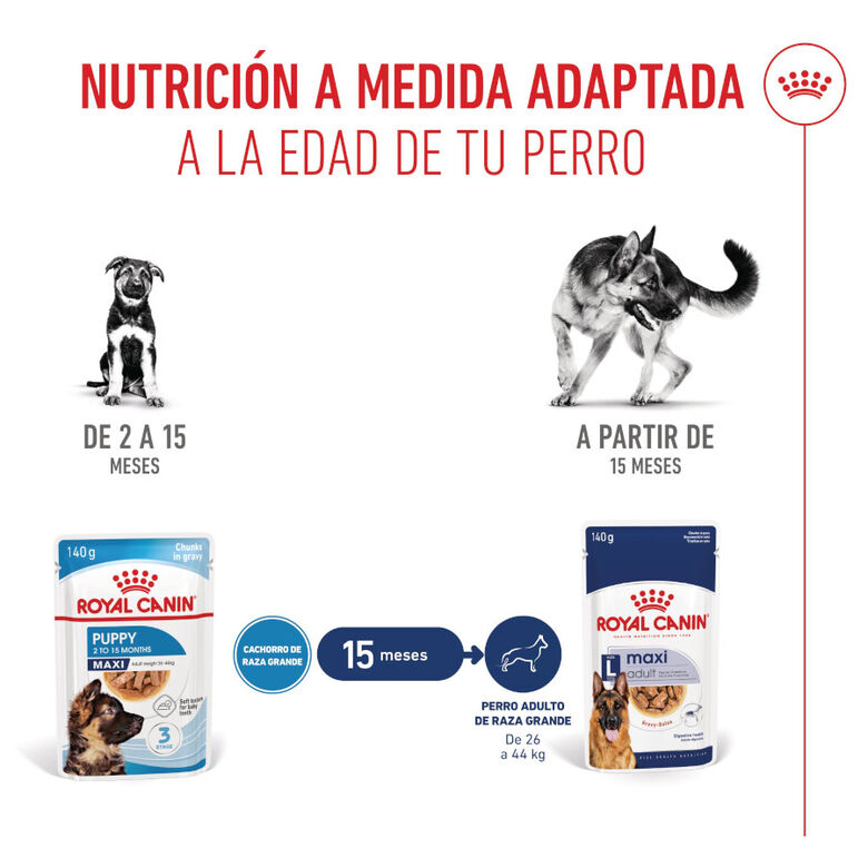 Royal Canin Húmedo Maxi Puppy sobre para perros thumbnail