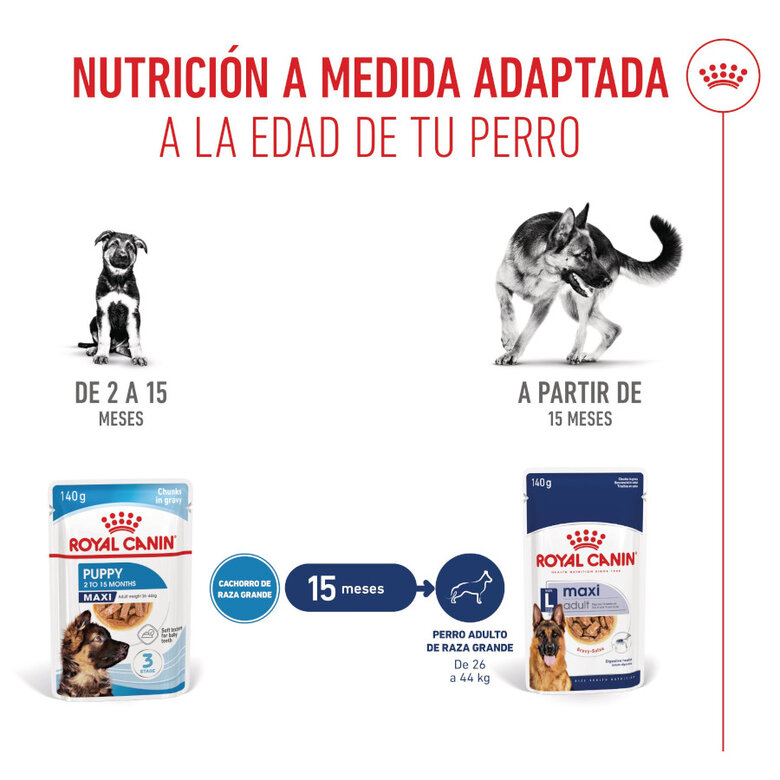 140 g Royal Canin Húmedo Maxi Puppy,  Imagen numero 6 140 g Royal Canin Húmedo Maxi Puppy, , large Imagen numero 6