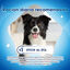 42 barritas Dentalife Snacks Dentales para perros medianos, , large indicador imagen numero 4