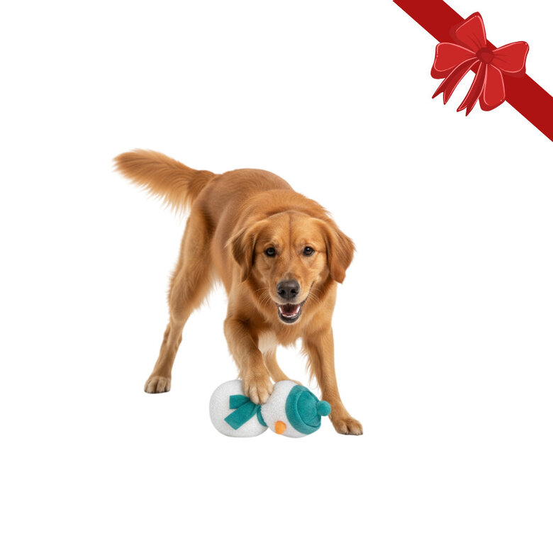 Wonder Christmas Peluche Muñeco de Nieve Navideño para perros,  Imagen numero 1 Wonder Christmas Peluche Muñeco de Nieve Navideño para perros, , large Imagen numero 1