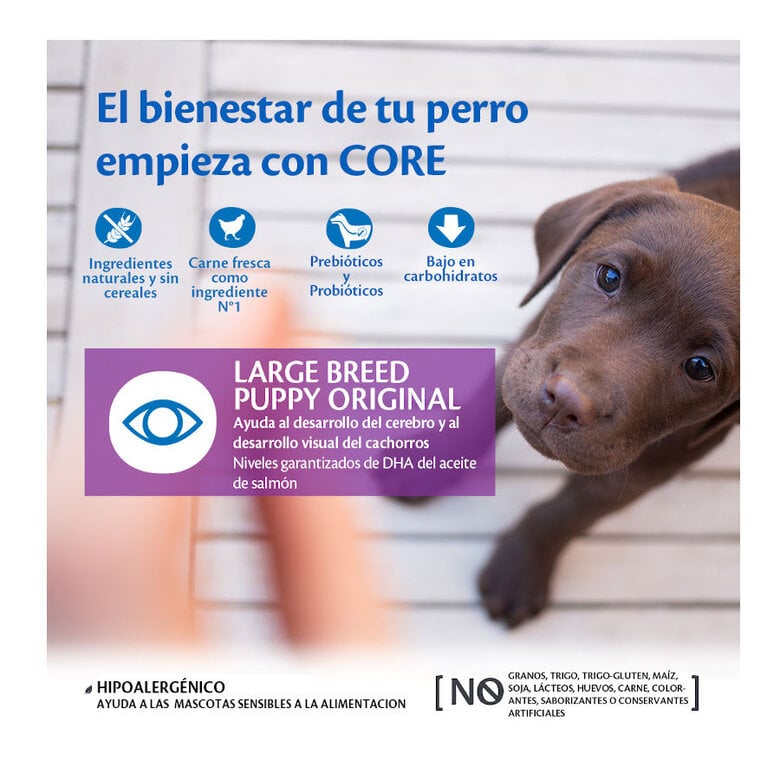10 kg Wellness Core Puppy Large Original Pollo pienso para perros,  Imagen numero 2 10 kg Wellness Core Puppy Large Original Pollo pienso para perros, , large Imagen numero 2
