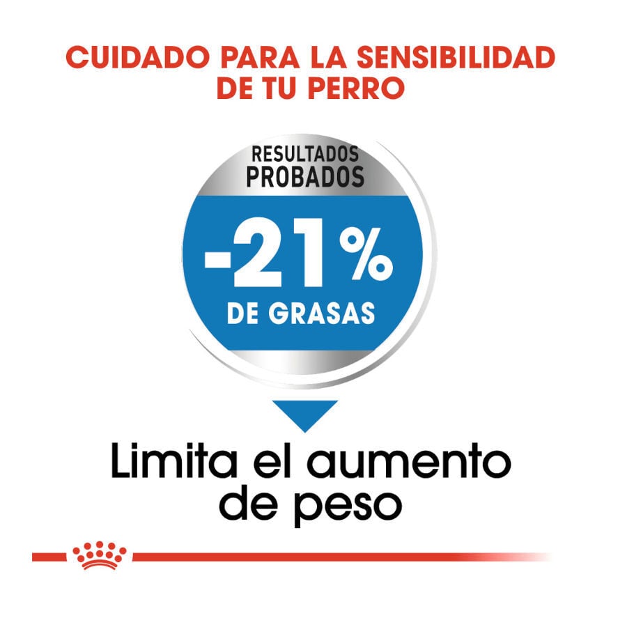 Royal Canin Medium Light Weight Care pienso para perros thumbnail