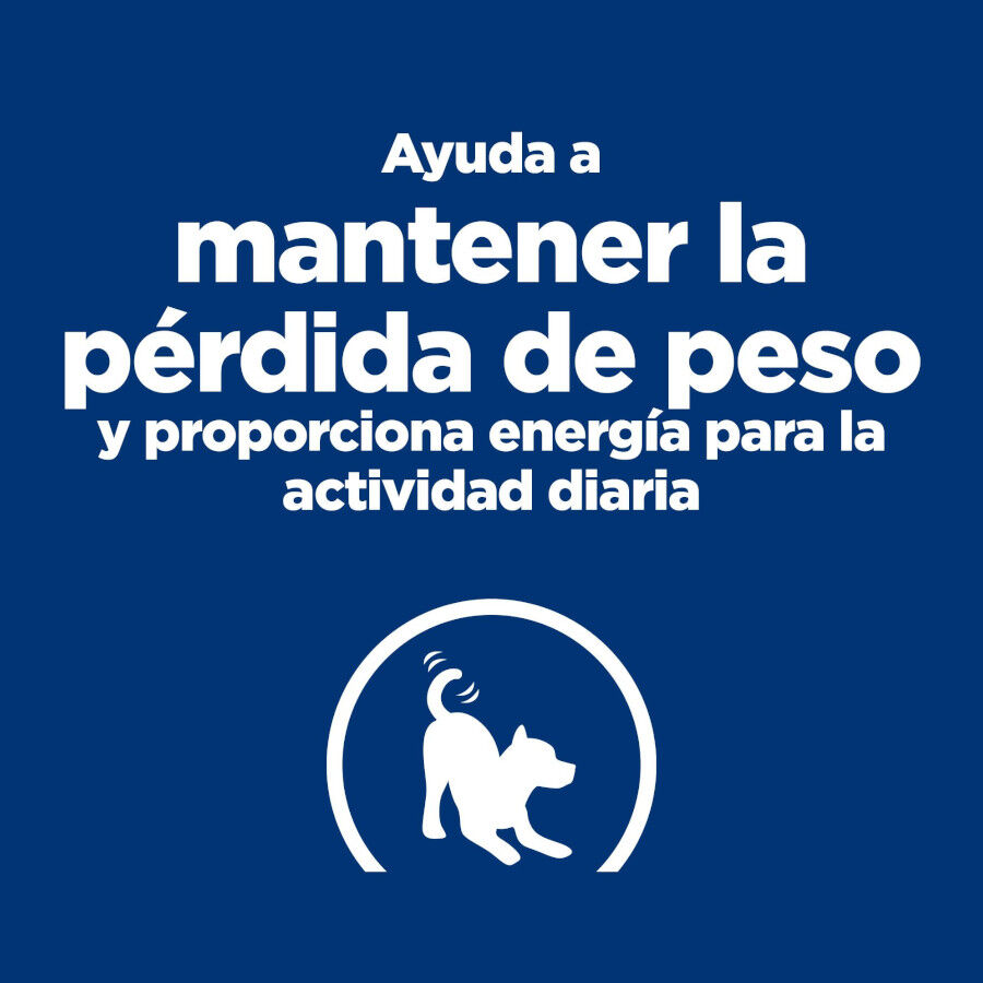 6 kg Hill's Prescription Diet Metabolic + Mobility Mini j/d pienso para perros, , large Imagen numero 3