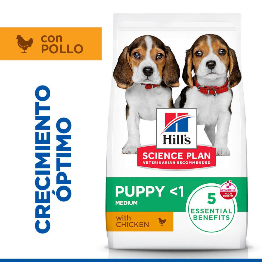 18 kg Hill's Science Plan Puppy Medium pollo pienso para perro, , large Imagen numero 1