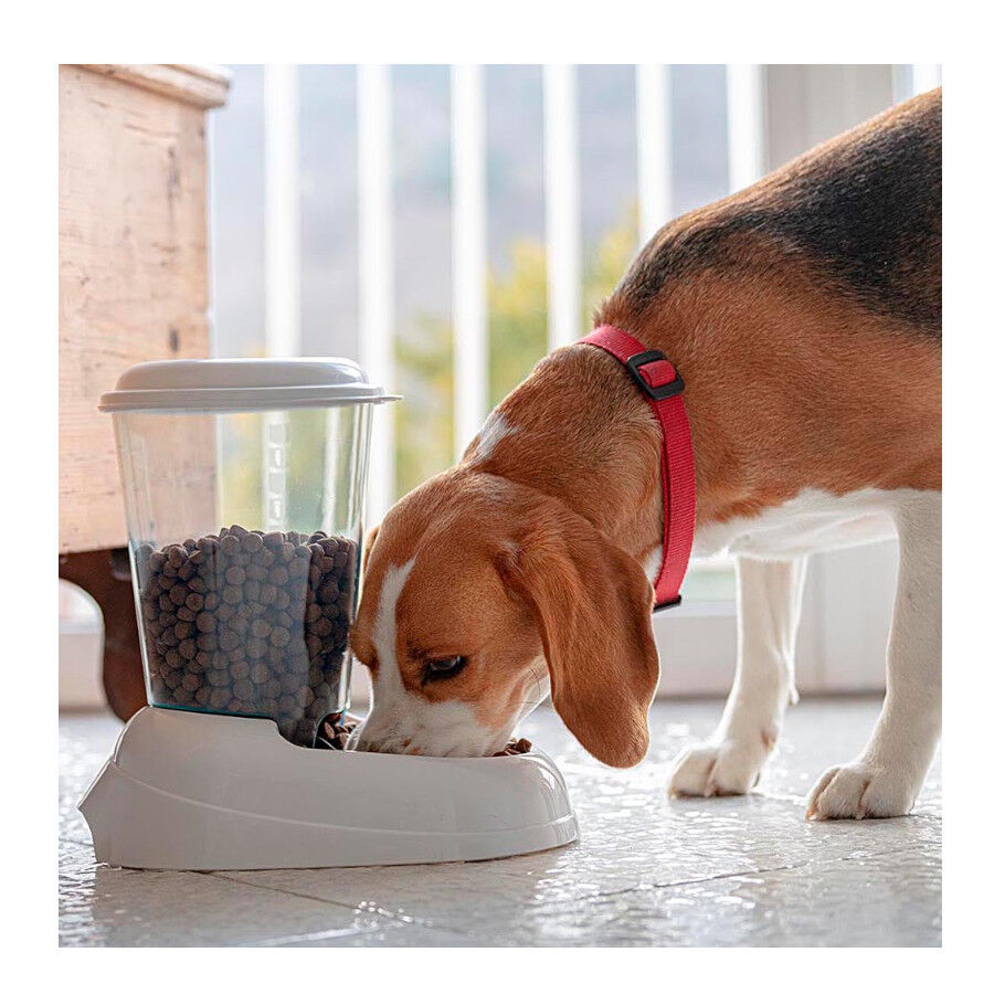 Ferplast Zenith Dispensador de Pienso para mascotas, , large Imagen numero 3