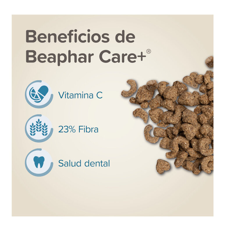 Beaphar Care + Pienso para cobayas,  Imagen numero 3 Beaphar Care + Pienso para cobayas, , large Imagen numero 3
