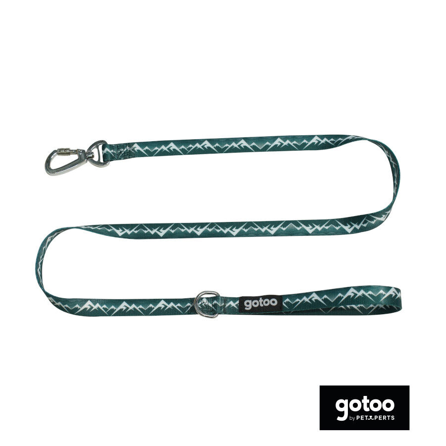 Gotoo Correa con mosquetón de seguridad verde para perros thumbnail