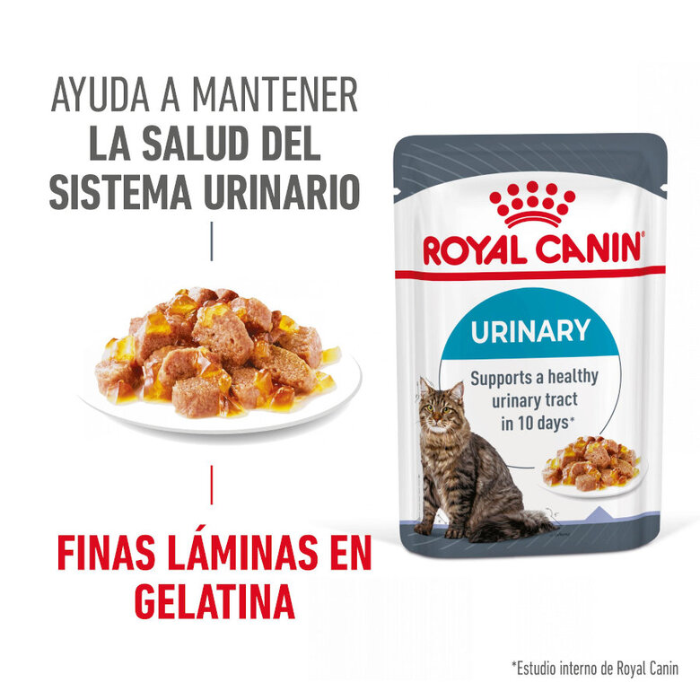 Royal Canin Urinary Care Sobre en Gelatina para gatos, , large image number null