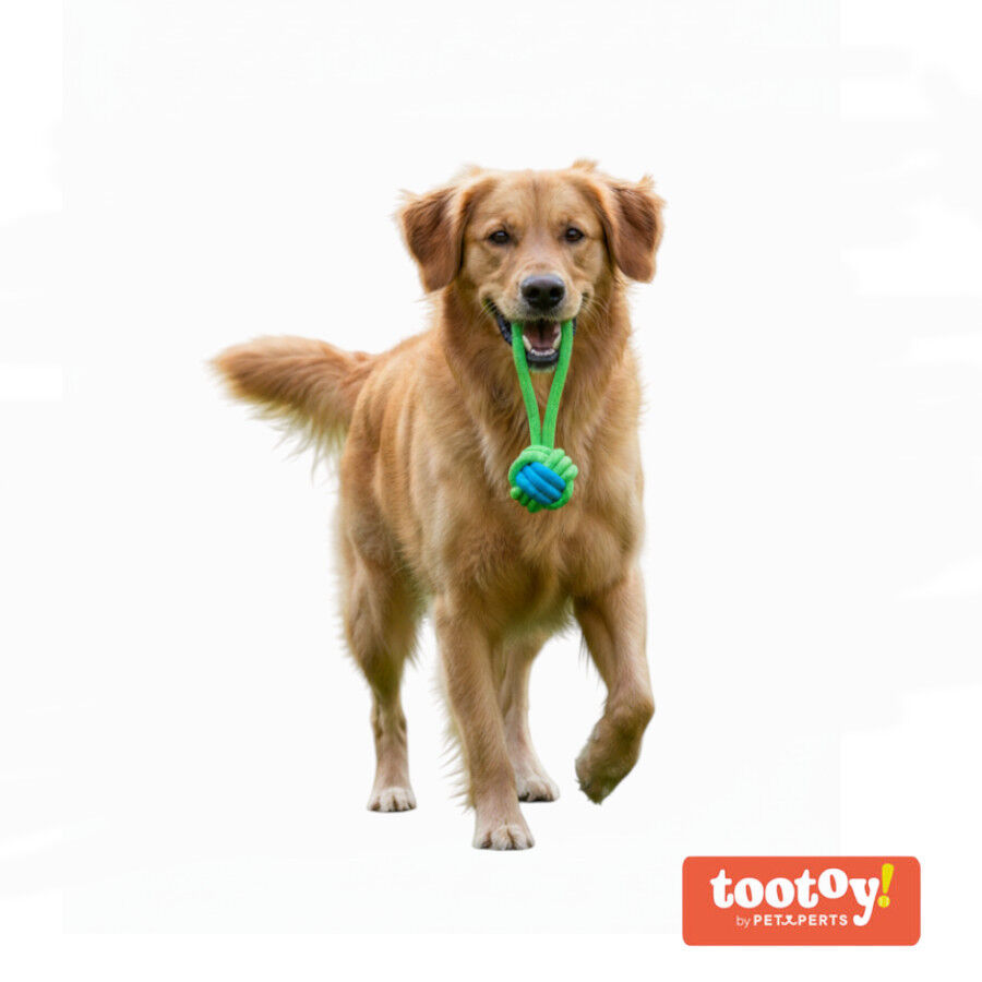Tootoy! Mordedor de Cuerda con Pelota Verde para perros, , large Imagen numero 8