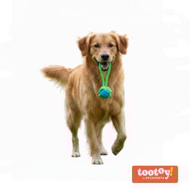 Tootoy! Mordedor de Cuerda con Pelota Verde para perros