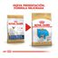 10 kg Royal Canin Puppy French Bulldog pienso para perros, , large indicador imagen numero 3