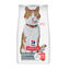 10 kg Hill's Science Plan Sterilised Adult Salm&oacute;n pienso para gatos, , large indicador imagen numero 1