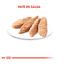 85 g Royal Canin Kitten paté sobre para gatos, , large indicador imagen numero 3