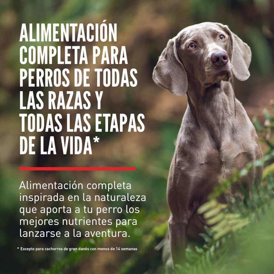 Orijen Tundra Pienso Seco Cordero y Ciervo para perros thumbnail