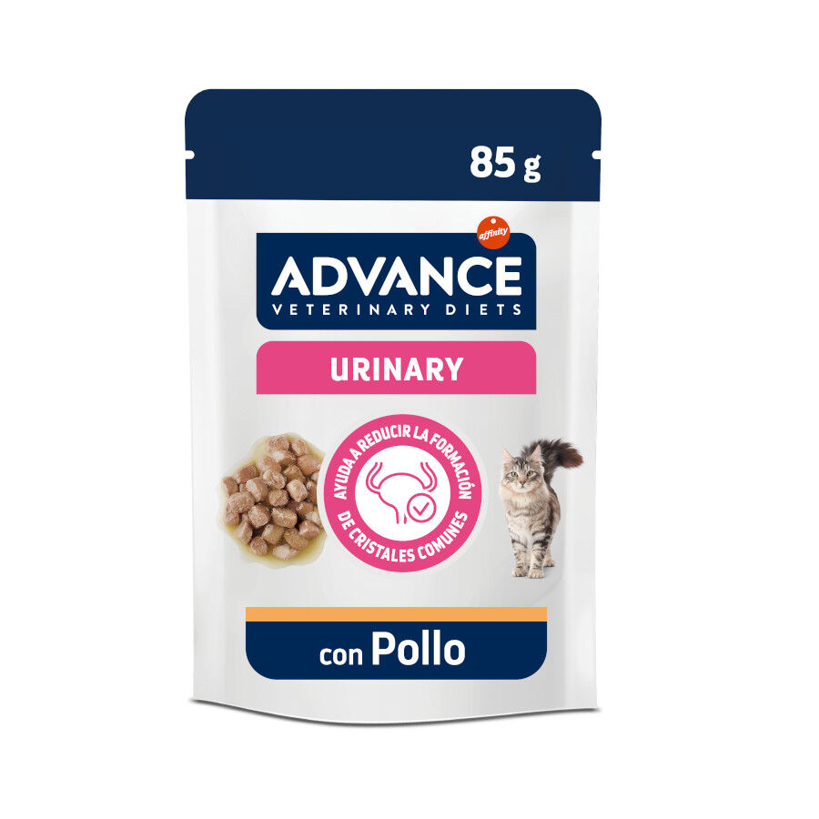 Advance Veterinary Diets Urinary sobre para gatos