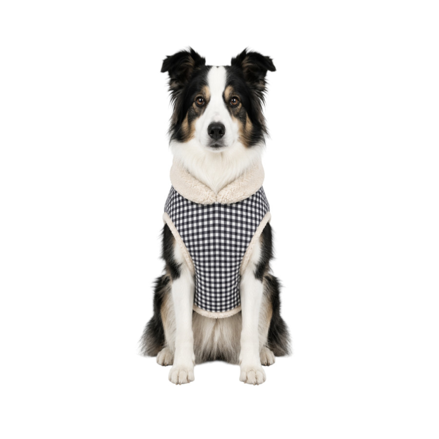Gotoo Abrigo Azul Vichy para perros, , large Imagen numero 7