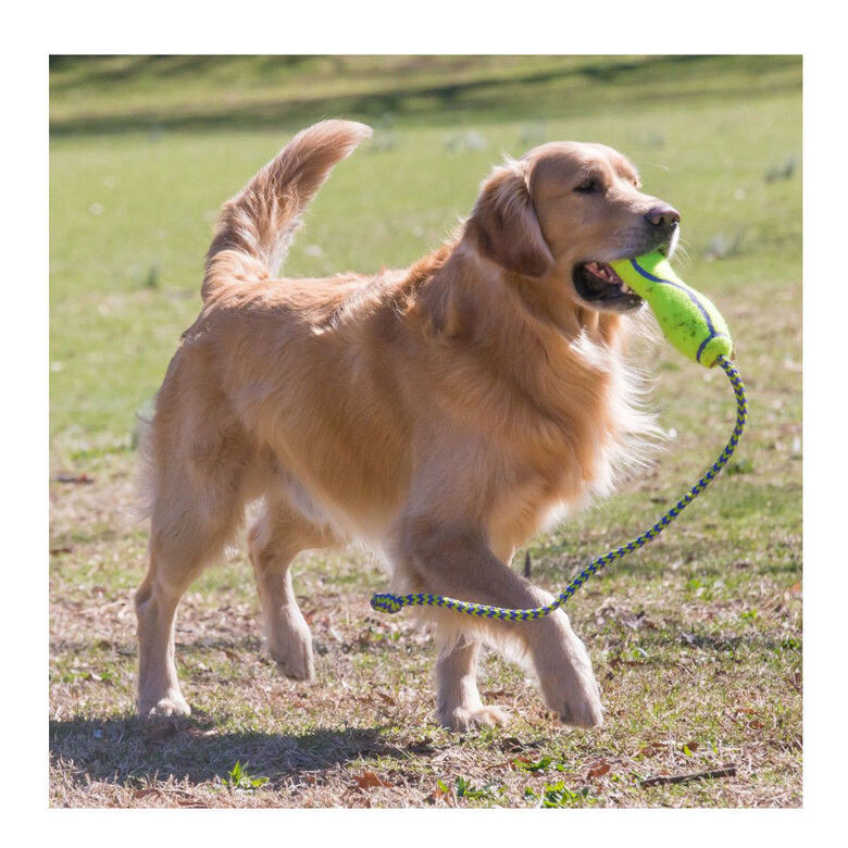 Kong Air Dog Squeaker Stick de juguete para perros thumbnail