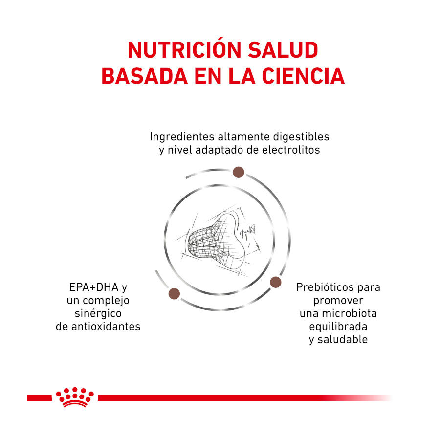 Royal Canin Veterinary Gastrointestinal Fibre Response pienso para gatos thumbnail