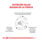 Royal Canin Veterinary Gastrointestinal Fibre Response pienso para gatos, , large image number null