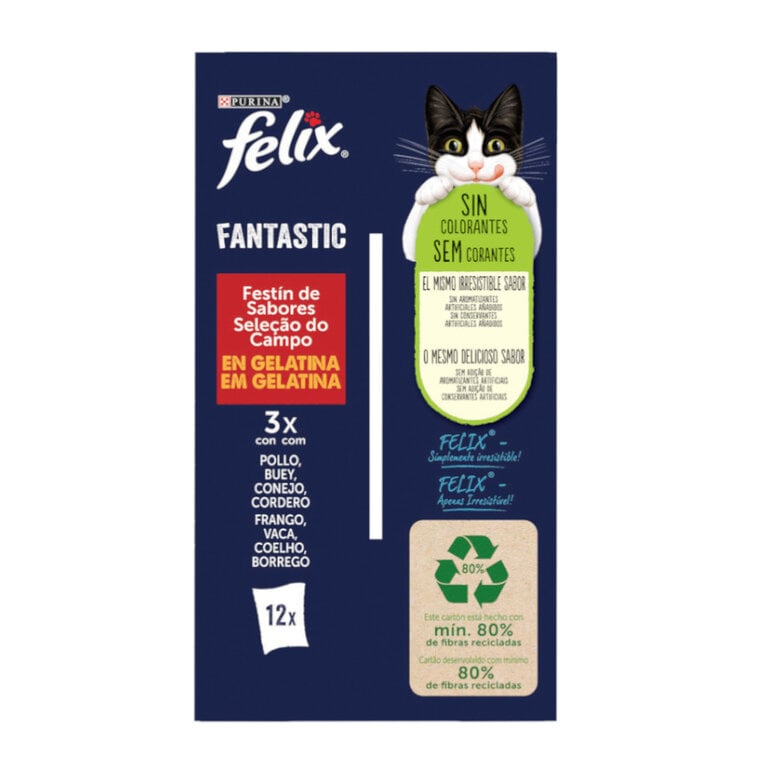 12 sobres x 85 g Felix Fantastic Carne en Gelatina sobre para gatos,  Imagen numero 7 12 sobres x 85 g Felix Fantastic Carne en Gelatina sobre para gatos, , large Imagen numero 7
