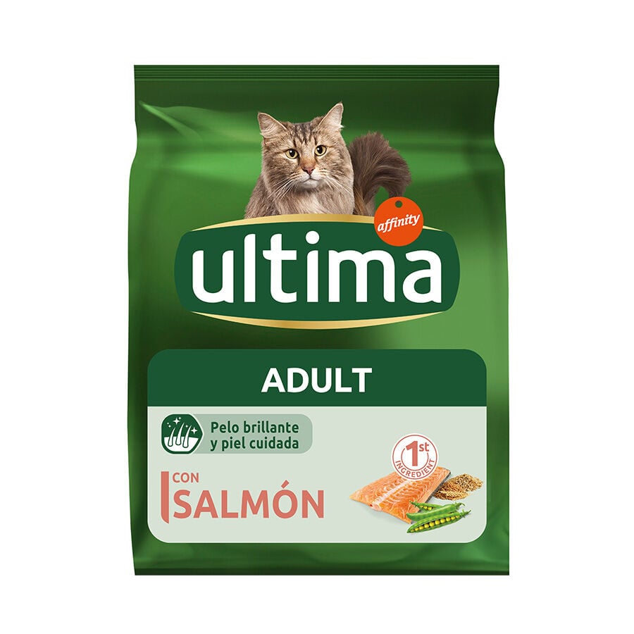 Affinity Ultima Adult Salmón pienso para gatos