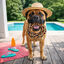 Summer Vibes Mordedor Anillo de Cuerda Juguete para perros, , large indicador imagen numero 1