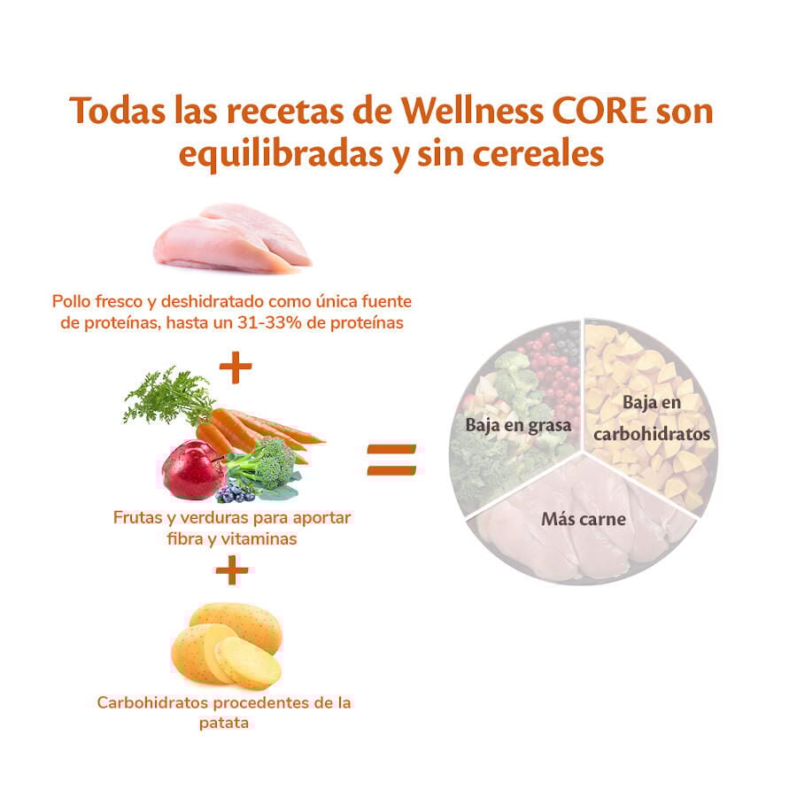 Wellness Core Adult Large Original Pollo pienso para perros thumbnail