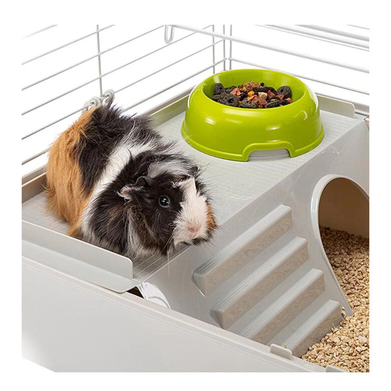 Ferplast Cavie Jaula para cobayas,  Imagen numero 6 Ferplast Cavie Jaula para cobayas, , large Imagen numero 6