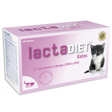 Lactadiet Omega 3 leche maternizada para gatitos