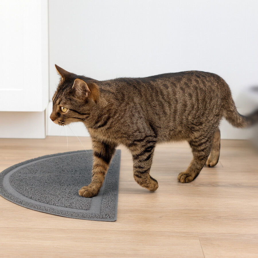 Nice Care Alfombrilla Luna para gatos, , large Imagen numero 1