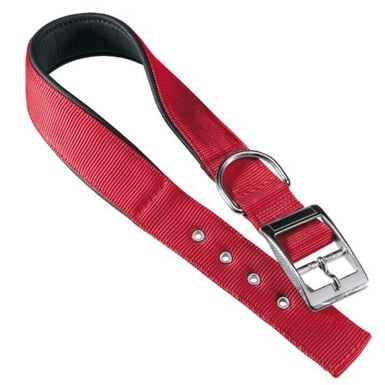 Ferplast Daytona Collar Rojo para perros 