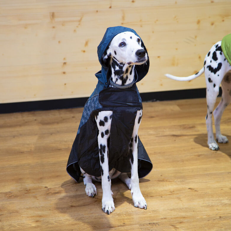 Outech Chubasquero con Estampado de Huesos para perros thumbnail