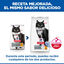 1.5 kg Hill's Science Plan Sterilised Mature Adult Pollo pienso para gatos, , large indicador imagen numero 3