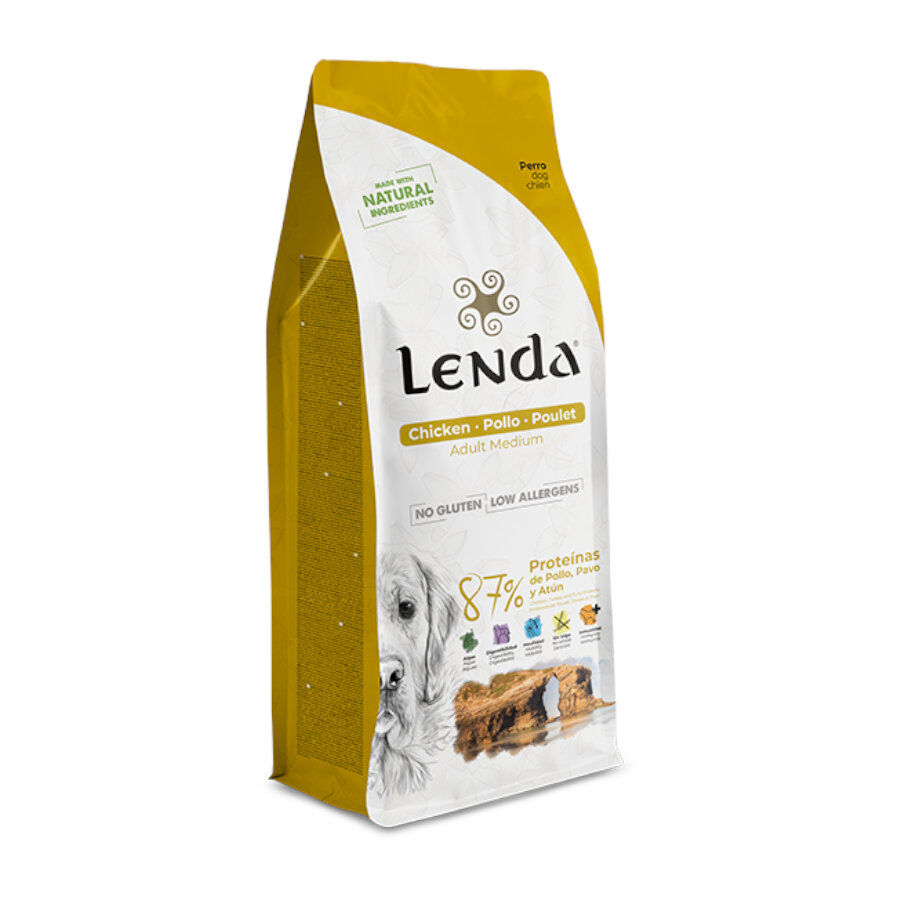 Lenda Original Adult Pollo pienso para perros