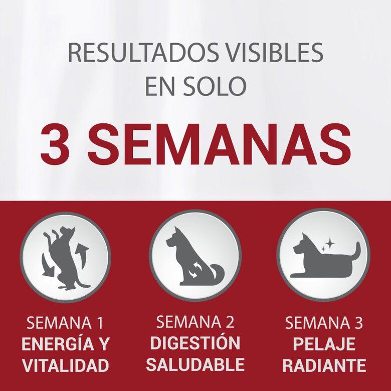 Purina One Senior 8+ Mini pienso para perros , , large image number null