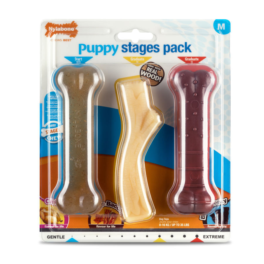 Nylabone Trío de Mordedores con Sabor a Pollo, Bacon y Carne para cachorros