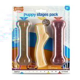 Nylabone Trío de Mordedores con Sabor a Pollo, Bacon y Carne para cachorros
