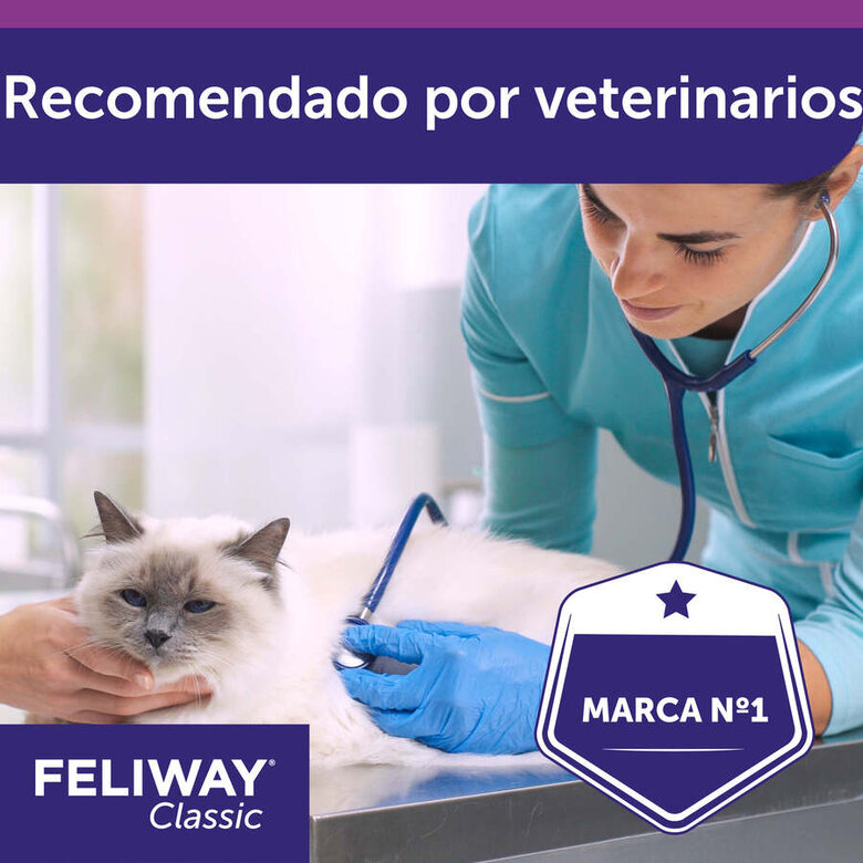 Feliway Spray feromona tranquilizante para gatos