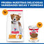 14 kg Hill's Science Plan Adult Light Medium Pollo pienso para perros, , large indicador imagen numero 7