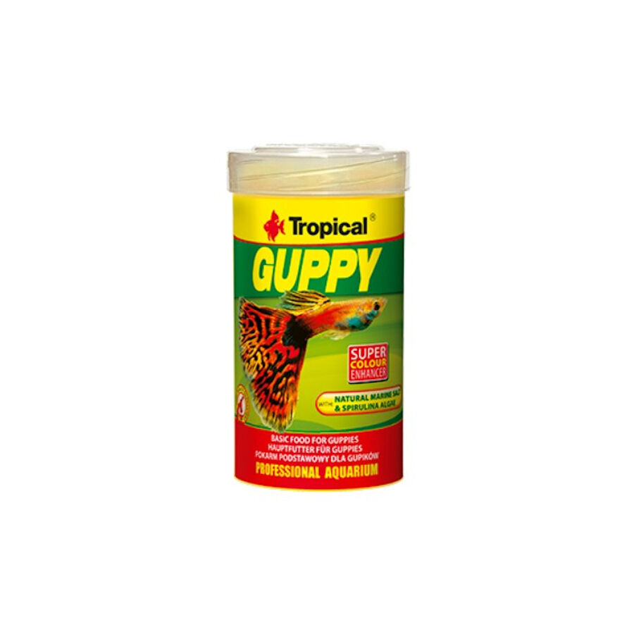 Tropical Guppy Alimento en Escamas para peces, , large Imagen numero 1