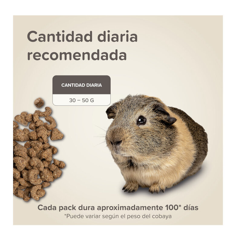 Beaphar Care + Pienso para cobayas,  Imagen numero 7 Beaphar Care + Pienso para cobayas, , large Imagen numero 7