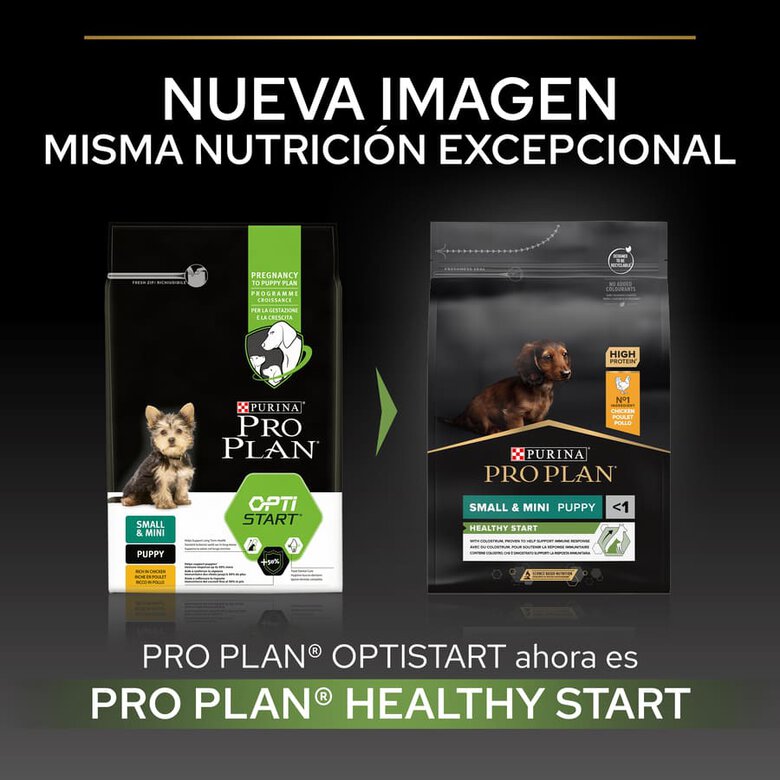 3 kg Pro Plan Puppy Small y Mini Pollo pienso para cachorros,  Imagen numero 2 3 kg Pro Plan Puppy Small y Mini Pollo pienso para cachorros, , large Imagen numero 2